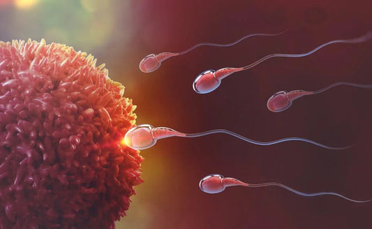 SP10 Male Fertility Test Kit Wholesale Supplier